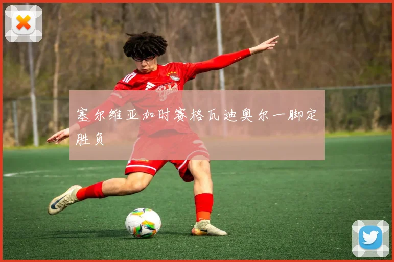 塞尔维亚加时赛格瓦迪奥尔一脚定胜负