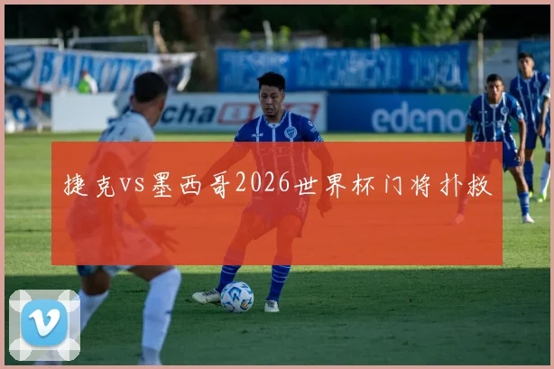 捷克vs墨西哥2026世界杯门将扑救