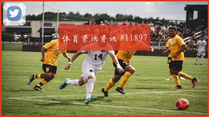 世界杯加拿大vs波黑小组第二预测