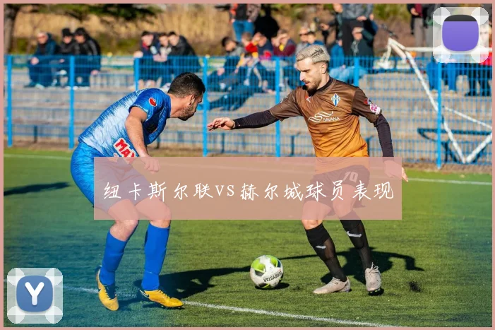 纽卡斯尔联vs赫尔城球员表现