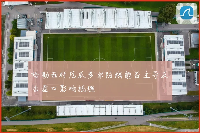 哈勒面对厄瓜多尔防线能否主导反击盘口影响梳理