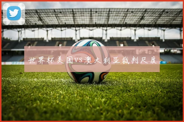 世界杯美国vs澳大利亚裁判尺度