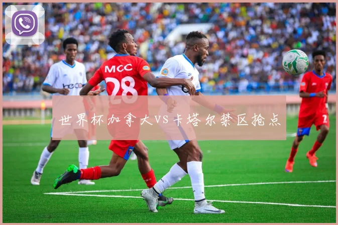 世界杯加拿大vs卡塔尔禁区抢点