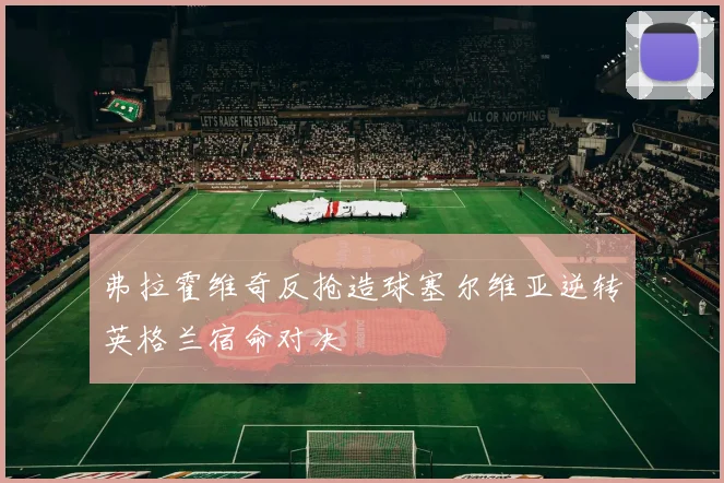 弗拉霍维奇反抢造球塞尔维亚逆转英格兰宿命对决