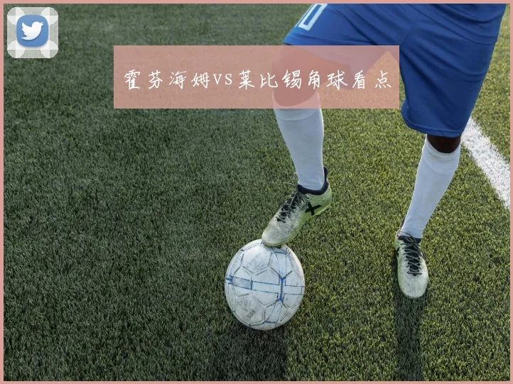 霍芬海姆vs莱比锡角球看点